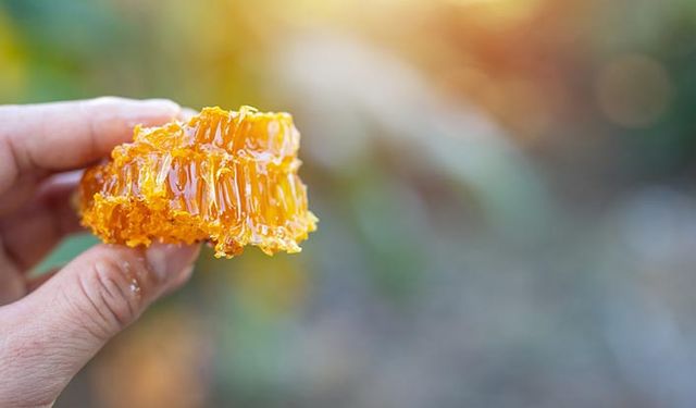 Propolis nedir, nasıl ve ne kadar tüketilmelidir?