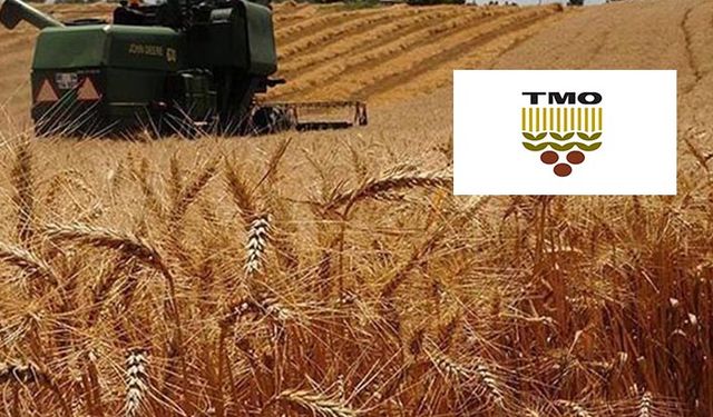 Buğday ve arpada neler oluyor? Satış fiyatlarını açıklayan TMO bir taraftan da yeni bir buğday ithalatına hazırlanıyor