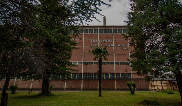 Çarşamba'da çiftçi mağdur edilmeyecek pancar Kastamonu Şeker Fabrikasında işlenecek