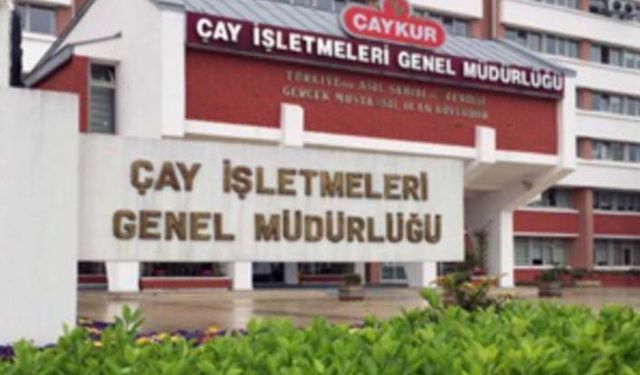 ÇAYKUR üçüncü sürgün yaş çay alımlarına başlıyor