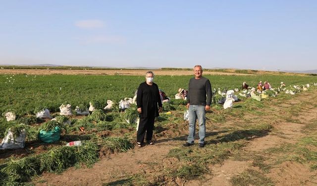 Eskişehir'de üretilen havuçlar Beypazarı'nda paketleniyor