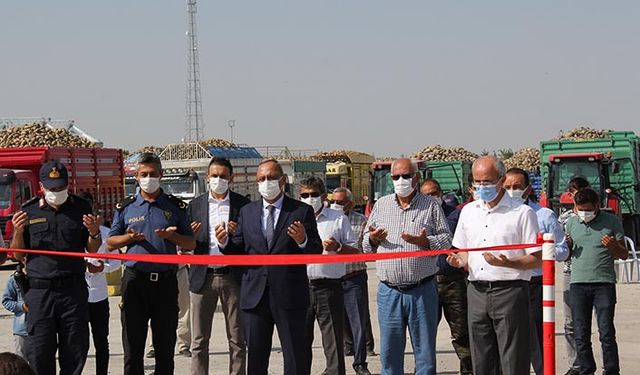 Konya Şeker 3 milyon 600 bin ton pancarı işleyerek 460 bin ton şeker üretecek