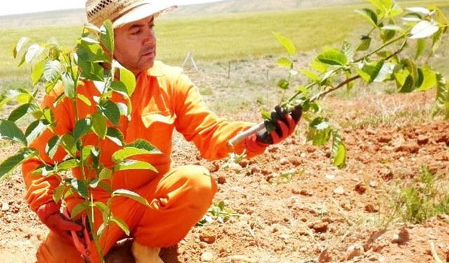 Nihat Kaşıkçı DoğaHan yazılarıyla aramızda