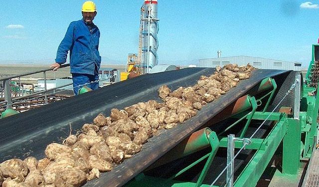 Şeker işçisi Hazine ve Maliye Bakanından gelecek mutlu haberi bekliyor