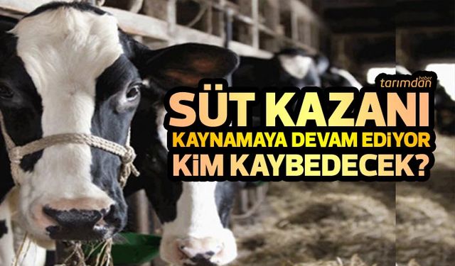Süt kazanı kaynamaya devam ediyor kim kaybedecek?