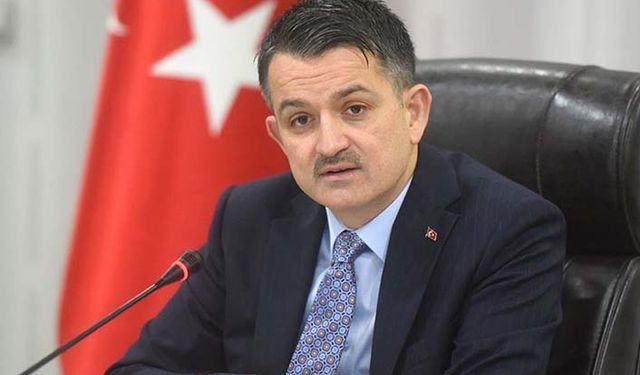 Tarım Bakanlığından gündem boş kalmasın süt üreticisine tohum haberi!