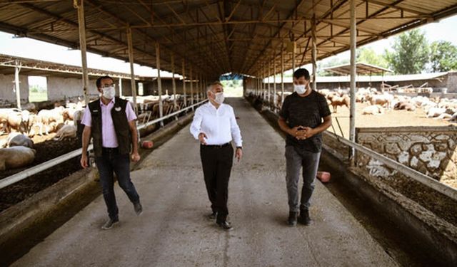 Tarım İl Müdürü: Besicilikte lider il olacağız