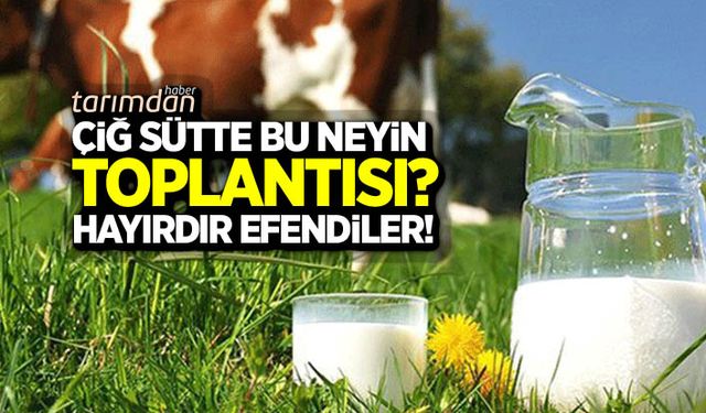 Çiğ sütte bu neyin toplantısı? Hayırdır efendiler!