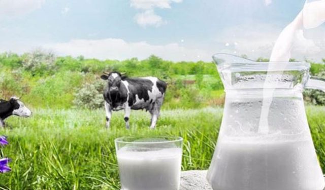 Çiğ sütte Ulusal Süt Konseyi toplantıya çağrıldı 