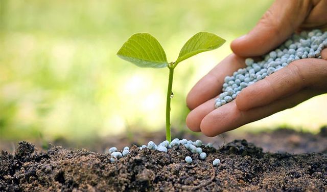 Gübre fiyatlarına ton başına 100 lira zam geldi!