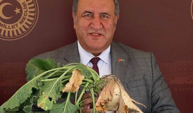 Pancar alım fiyatını böyle eleştirdi: Çiftçi pancar ekmek yerine dolar alsaydı ne olurdu?