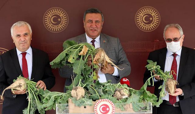 Şeker pancarında çiftçinin kafası karıştı: Pancar fiyatlarına bu yıl artış yapılmayacak mı?