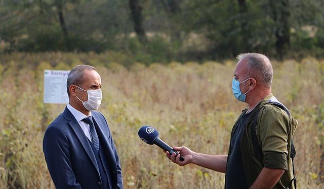Soya fasulyesine ne kadar destek ödeniyor?