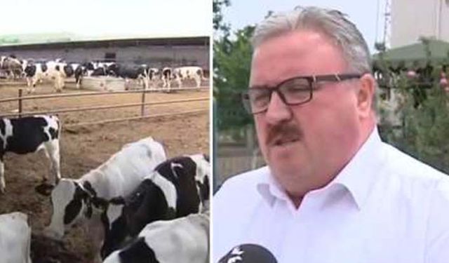 Süt Üreticileri Merkez Birliği Başkanı Keskin'den dikkat çeken USK açıklaması: İstifa ederek neyi ispatlamış olacağız!