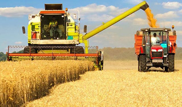 TMO hasatta sonra 4'üncü buğday ithalat ihalesini yaptı