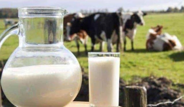 Ulusal Süt Konseyi bugün toplanıyor Tarım Bakanlığının sanayici ile belirlediği fiyat mı açıklanacak?