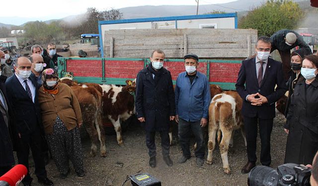 Yangında hayvanları telef olan köylülere hayvan verildi