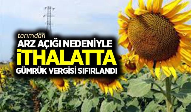 Buğday, arpa ve mısırdan sonra ayçiçeği tohumu ithalatında da gümrük vergisi sıfırlandı