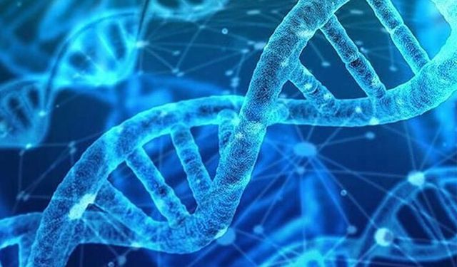 DNA Barkod gübreden sonra alkolde kullanılacak