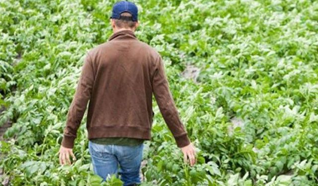 Hibe desteğinde başvuru süresi uzatıldı