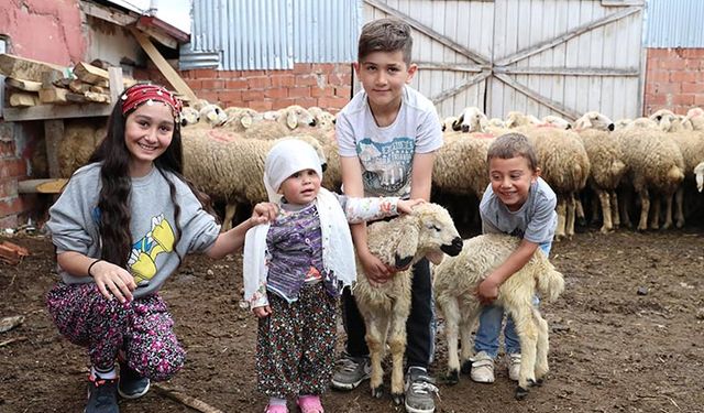 Sıfır faizli koyun kredisine yoğun talep: Tokat’ta 1150 çiftçiyle sözleşme imzalandı 