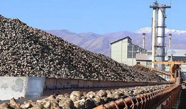 Tarım Bakanlığından 4 şeker fabrikasına büyük kota kıyağı! Üretim şartı rafa kaldırıldı keyfiliğin önü açıldı!