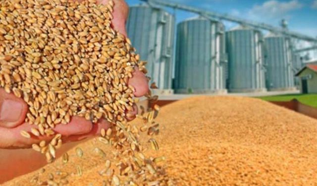 TMO 550 bin ton buğday ithalat ihalesini yaptı şimdi de pirinç, çeltik, mısır ve arpa ithalatına hazırlanıyor!