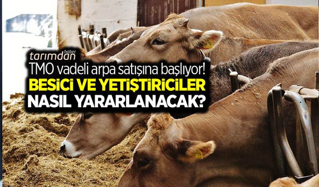 TMO vadeli arpa satışına başlıyor! Besici ve yetiştiriciler nasıl yararlanacak?