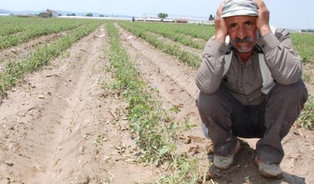 Çiftçi eylemi başlamadan bitti! Mağdur çiftçiler Bakan Yardımcısı ile görüştüler
