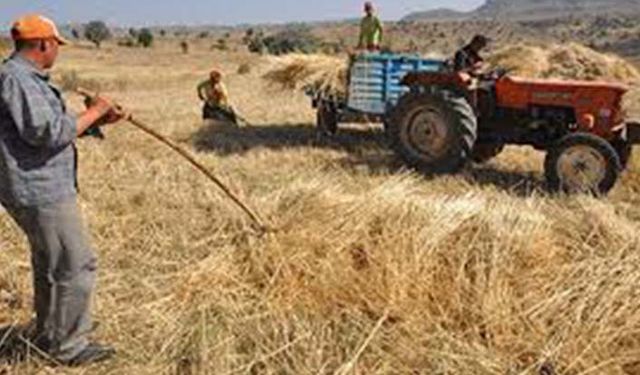 Çiftçi nasıl icralık oluyor? Tarım Kredi'de kredi politikası kime hizmet ediyor?