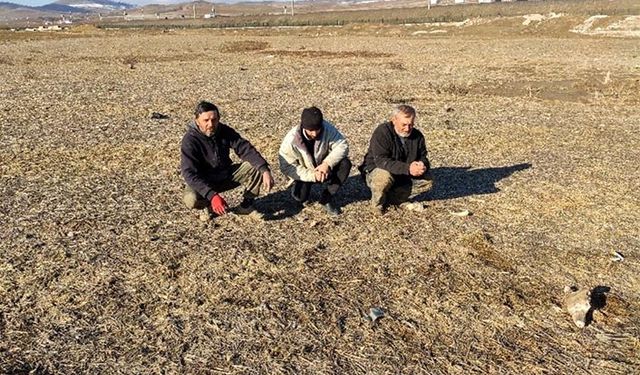 Çiftçiye yüksek faiz belgelendi! Tarım Kredi'den çiftçiye yüzde 41 faiz!