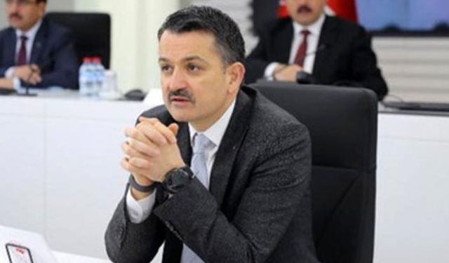 Tarımda 890 milyon liralık destek ödemesi