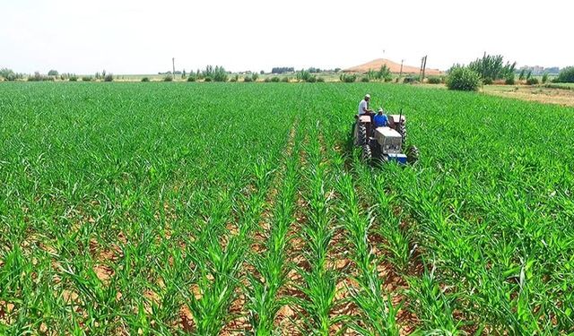 Tarımsal desteklerde büyük uçurum! Almanya'da çiftçi 18 kat daha fazla destek alıyor!
