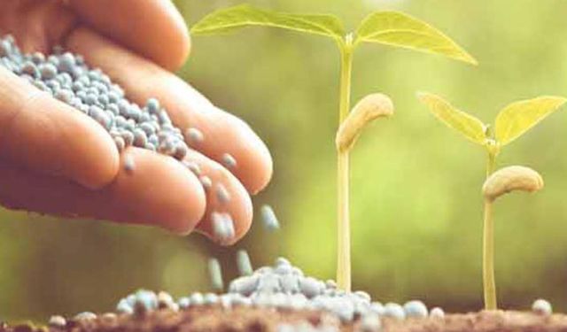 Gübre fiyatları çiftçinin canını yakıyor!