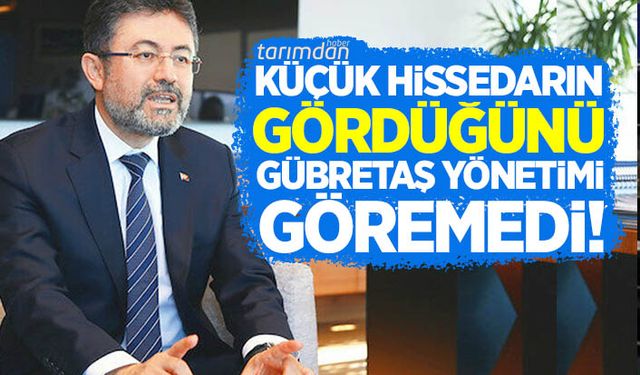 Gübretaş hisselerinin toplanmasına göz yummuşlar!