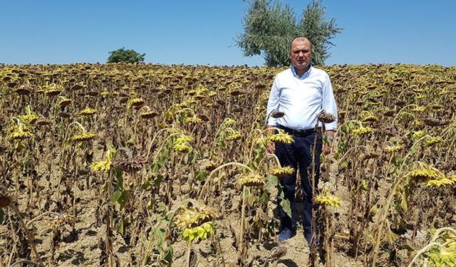 Tarımsal desteklerden ne kadar vergi kesiliyor?