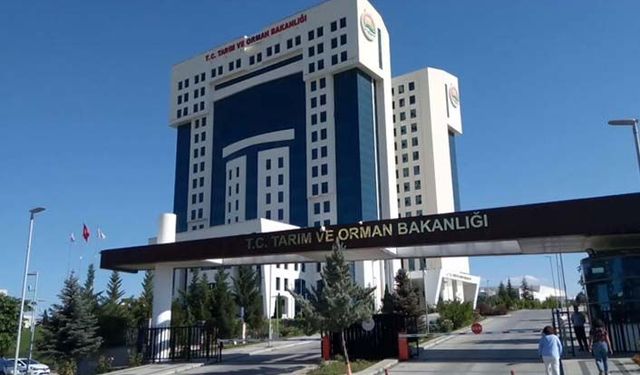 Türkcell’den yolu geçmeyen Tarım Bakanlığından iş alamıyor! Kim bu Selen Kocabaş?