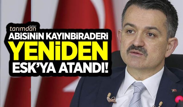 Bakan Pakdemirli’nin abisinin kayınbiraderi ESK’ya yeniden atandı!