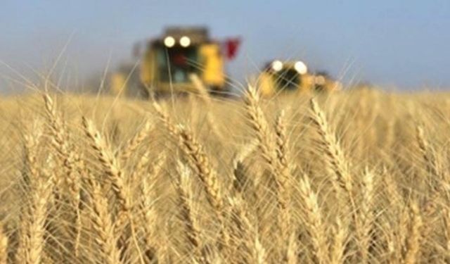 Gübre desteği bütün ürünlerde artırıldı!