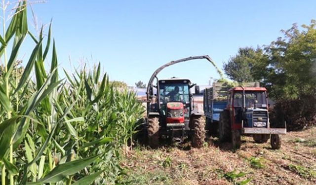 Tarım Bakanı duyurdu çiftçiye ve balıkçılara destek ödemesi yapılacak!