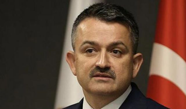 Tarım Bakanı Pakdemirli açıkladı! Tarımsal destek ödemelerine başlandı