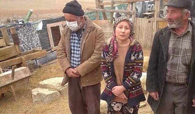 Ankara'da İlçe Tarımla ilgili şok iddia: Hamile hayvanlara aşı yapıldı koyunlar telef olmaya başladı!