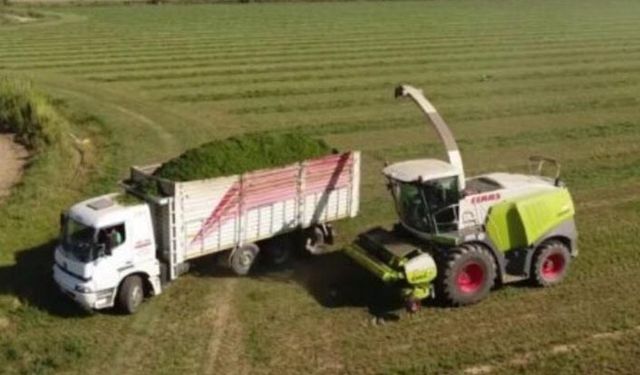 Çiftçiye tarımsal destek ödemesi yapılacak! Hangi destekler ödenecek?