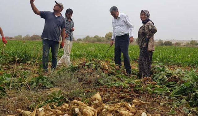 Konya Şeker pancar paralarını ödüyor