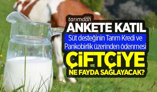 Süt desteklerinin Tarım Kredi ve Pankobirlik üzerinden ödenmesi çiftçiye ne fayda sağlayacak?