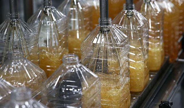 TMO ithal ettiği ayçiçeği yağını rafine ederek piyasaya satacak!