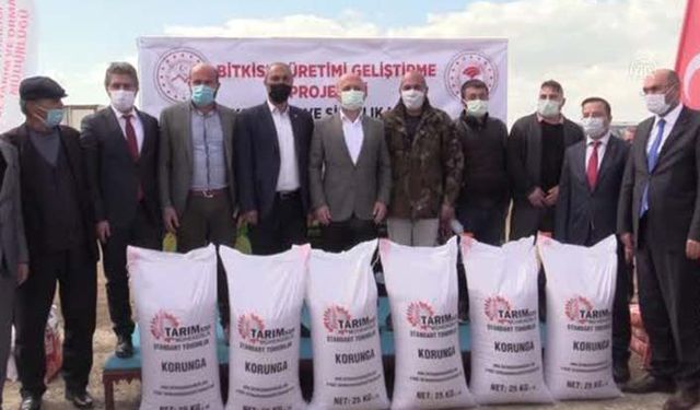 Ağrı'da mağdur edilen çiftçiye korunga ve silajlık mısır tohumu dağıtıldı!