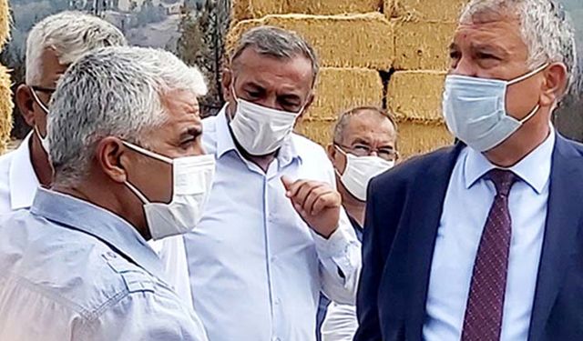 Akdeniz Meyve Sineği zararlısına karşı tüm paydaşlara toplu mücadele çağrısı