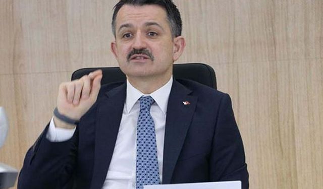 Buzağı, manda ve malak destekleri ödeniyor!