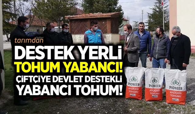Çiftçiye yabancı firmanın tohumu dağıtıldı!